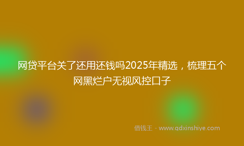 网贷平台关了还用还钱吗2025年精选，梳理五个网黑烂户无视风控口子