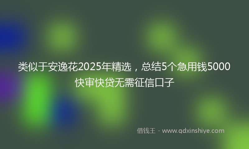 类似于安逸花2025年精选，总结5个急用钱5000快审快贷无需征信口子