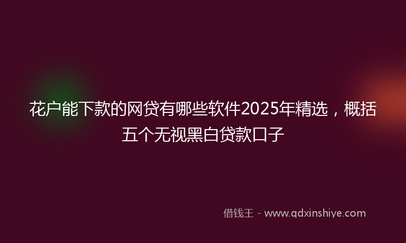 花户能下款的网贷有哪些软件2025年精选,概括五个无视黑白贷款口子