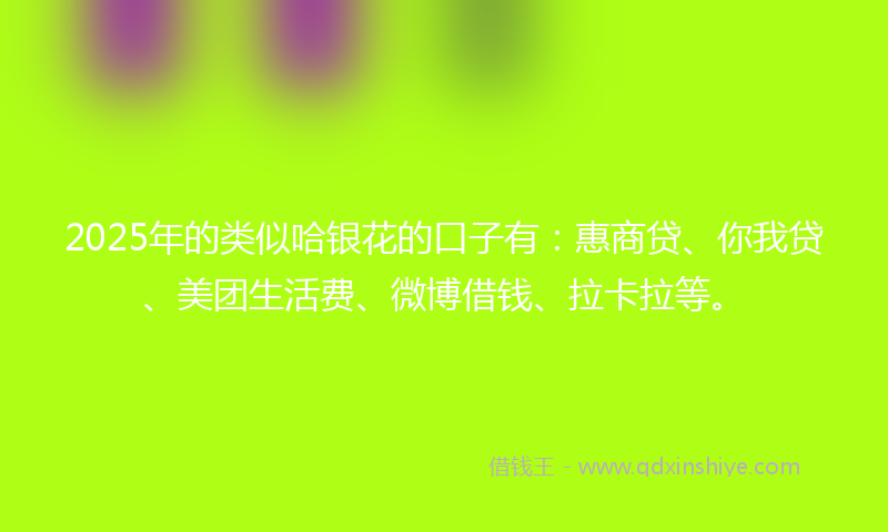 2025年的类似哈银花的口子有：惠商贷、你我贷、美团生活费、微博借钱、拉卡拉等。