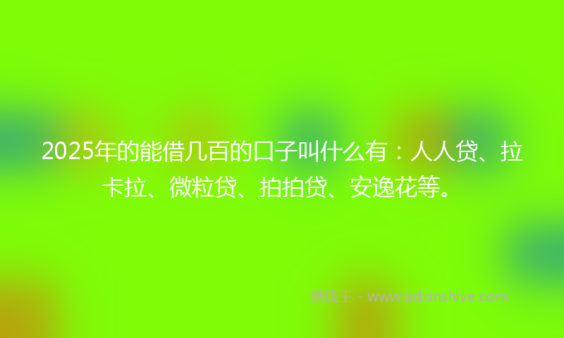2025年的能借几百的口子叫什么有：人人贷、拉卡拉、微粒贷、拍拍贷、安逸花等。