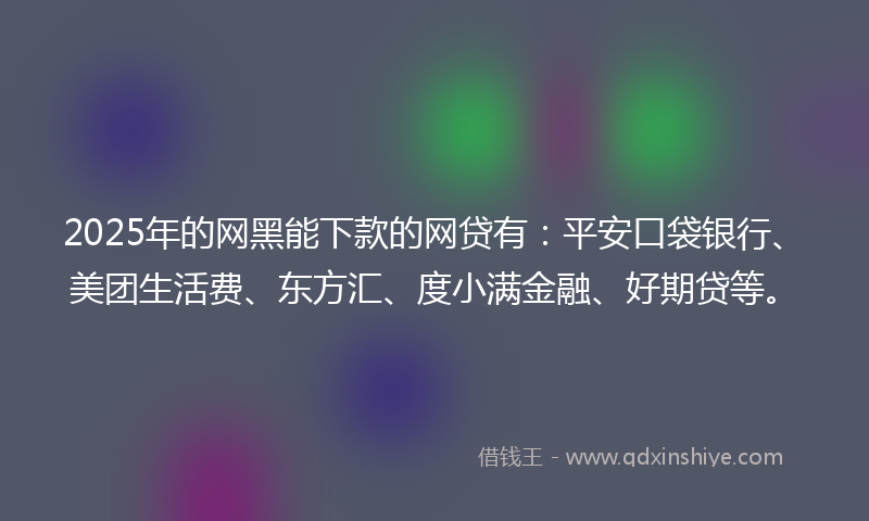 2025年的网黑能下款的网贷有：平安口袋银行、美团生活费、东方汇、度小满金融、好期贷等。
