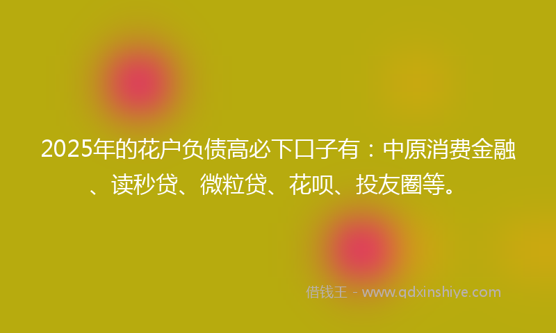 2025年的花户负债高必下口子有：中原消费金融、读秒贷、微粒贷、花呗、投友圈等。