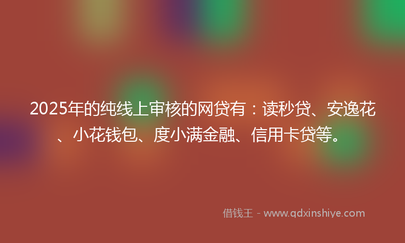 2025年的纯线上审核的网贷有：读秒贷、安逸花、小花钱包、度小满金融、信用卡贷等。