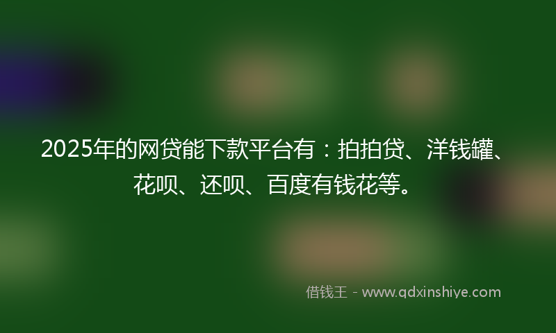 2025年的网贷能下款平台有：拍拍贷、洋钱罐、花呗、还呗、百度有钱花等。