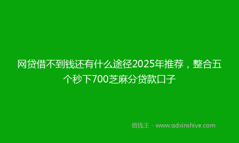 网贷借不到钱还有什么途径2025年推荐，整合五个秒下700芝麻分贷款口子