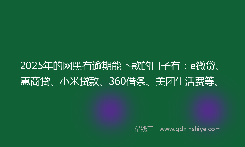 2025年的网黑有逾期能下款的口子有：e微贷、惠商贷、小米贷款、360借条、美团生活费等。