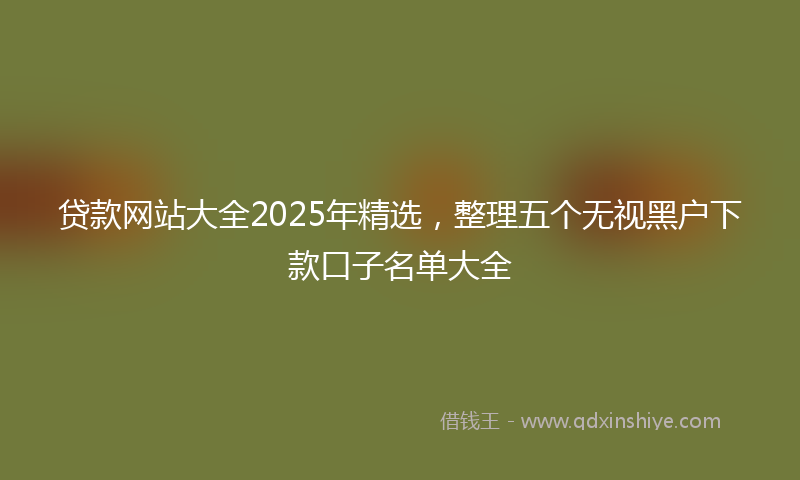 贷款网站大全2025年精选，整理五个无视黑户下款口子名单大全