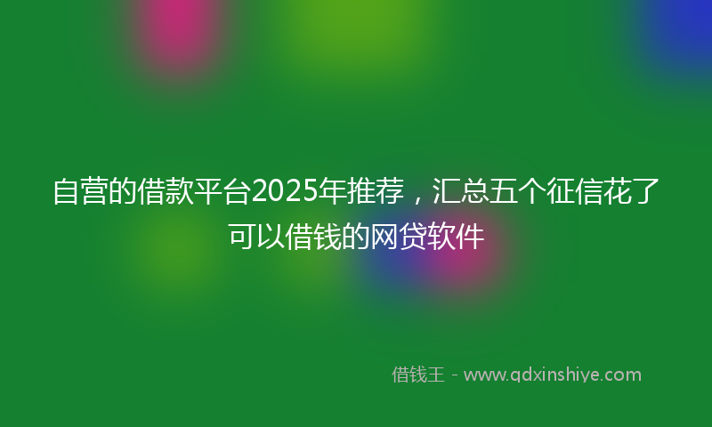 自营的借款平台2025年推荐，汇总五个征信花了可以借钱的网贷软件