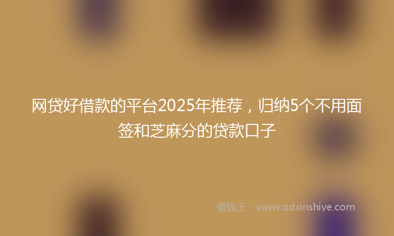 网贷好借款的平台2025年推荐，归纳5个不用面签和芝麻分的贷款口子