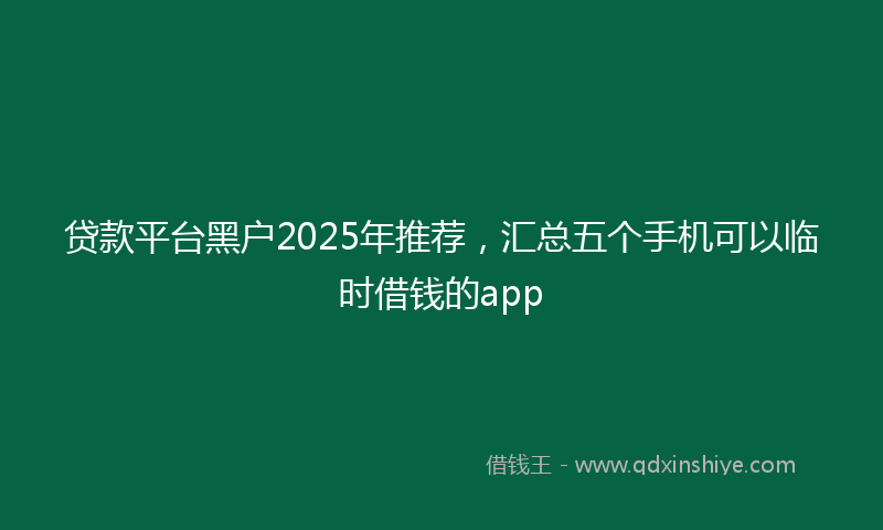 贷款平台黑户2025年推荐，汇总五个手机可以临时借钱的app