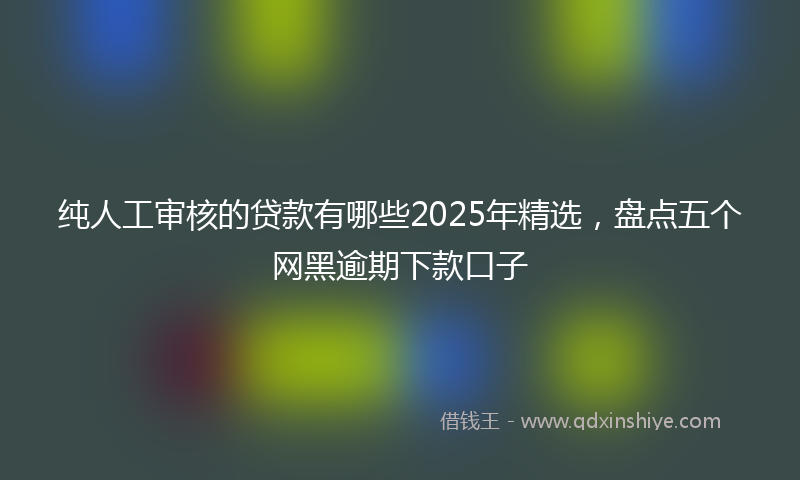 纯人工审核的贷款有哪些2025年精选，盘点五个网黑逾期下款口子