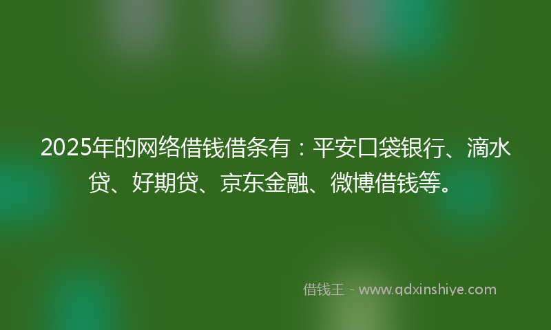 2025年的网络借钱借条有：平安口袋银行、滴水贷、好期贷、京东金融、微博借钱等。