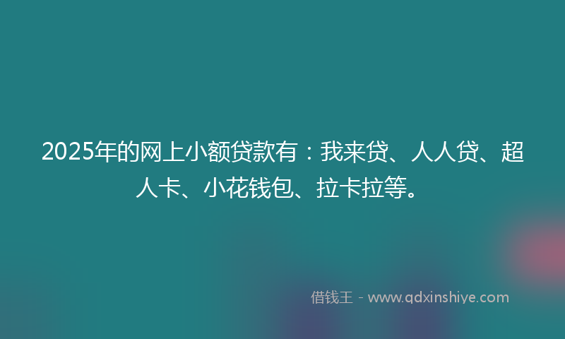 2025年的网上小额贷款有：我来贷、人人贷、超人卡、小花钱包、拉卡拉等。