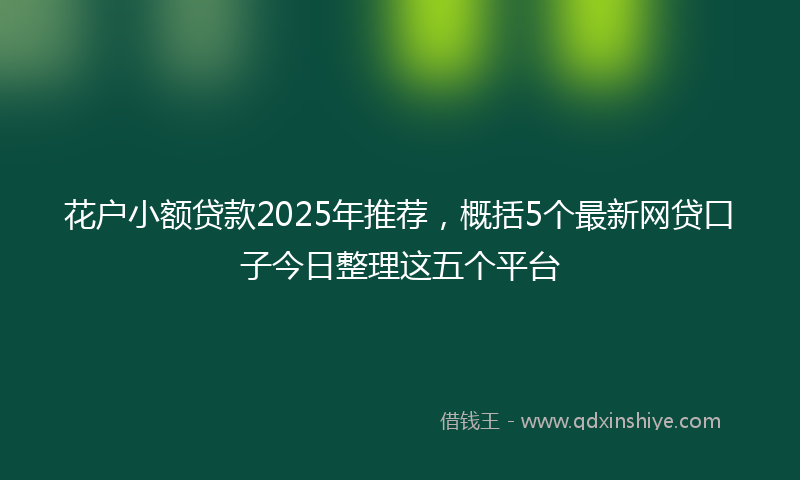 花户小额贷款2025年推荐，概括5个最新网贷口子今日整理这五个平台