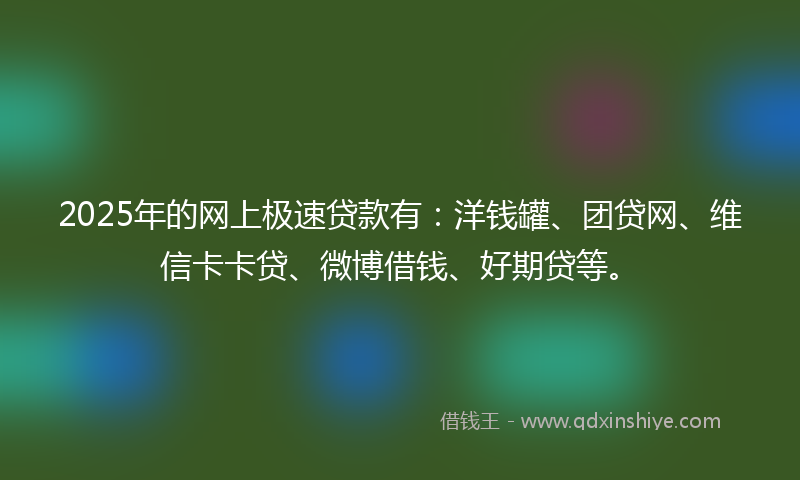 2025年的网上极速贷款有：洋钱罐、团贷网、维信卡卡贷、微博借钱、好期贷等。