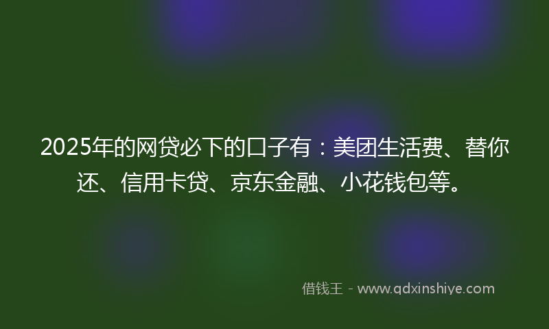 2025年的网贷必下的口子有：美团生活费、替你还、信用卡贷、京东金融、小花钱包等。