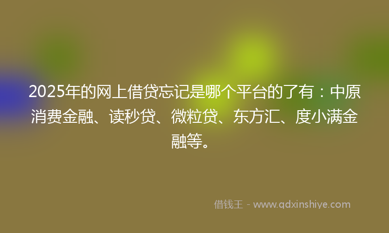 2025年的网上借贷忘记是哪个平台的了有：中原消费金融、读秒贷、微粒贷、东方汇、度小满金融等。