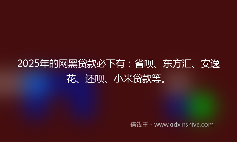 2025年的网黑贷款必下有：省呗、东方汇、安逸花、还呗、小米贷款等。