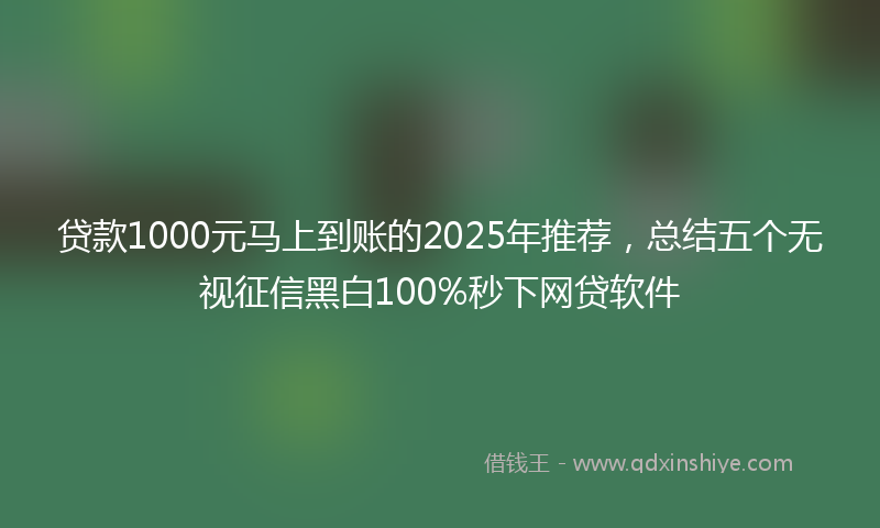 贷款1000元马上到账的2025年推荐，总结五个无视征信黑白100%秒下网贷软件