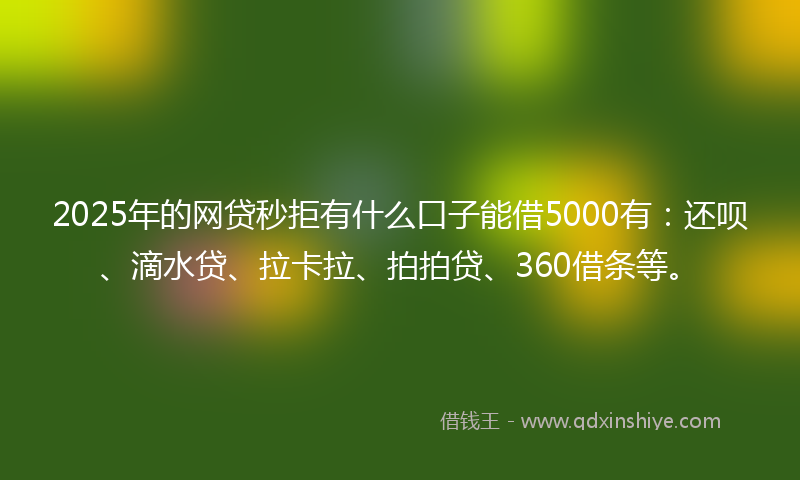 2025年的网贷秒拒有什么口子能借5000有：还呗、滴水贷、拉卡拉、拍拍贷、360借条等。