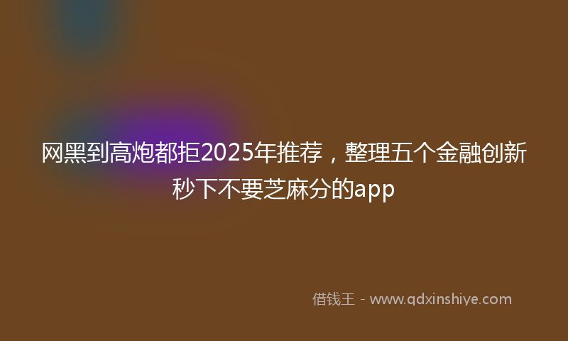 网黑到高炮都拒2025年推荐，整理五个金融创新秒下不要芝麻分的app