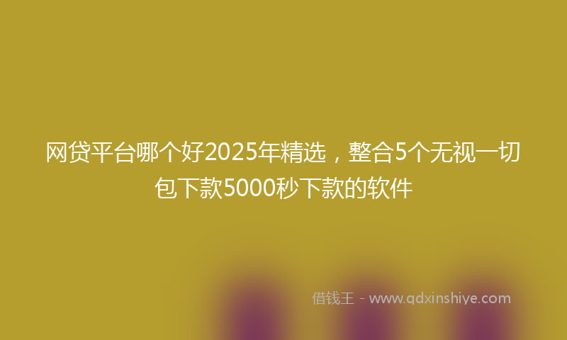 网贷平台哪个好2025年精选，整合5个无视一切包下款5000秒下款的软件