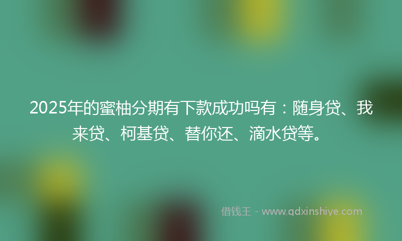 2025年的蜜柚分期有下款成功吗有：随身贷、我来贷、柯基贷、替你还、滴水贷等。