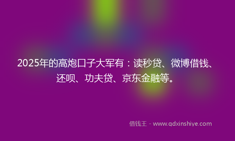 2025年的高炮口子大军有：读秒贷、微博借钱、还呗、功夫贷、京东金融等。