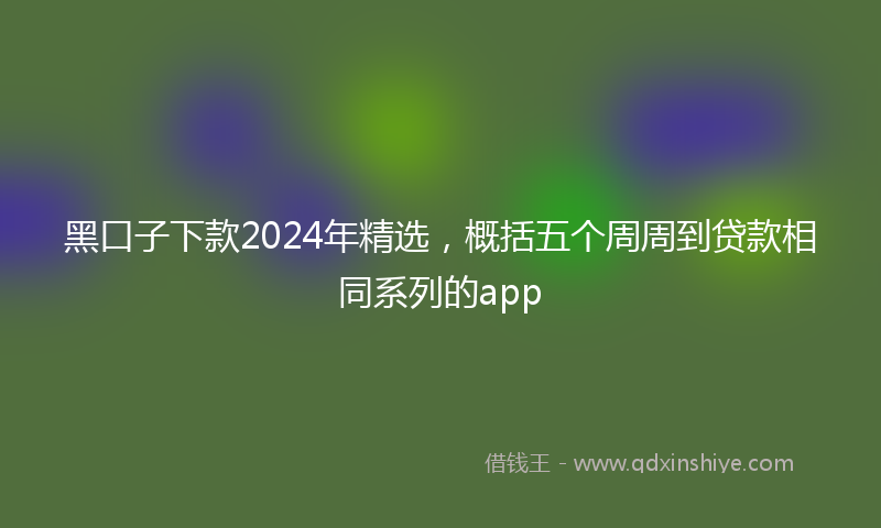 黑口子下款2024年精选，概括五个周周到贷款相同系列的app