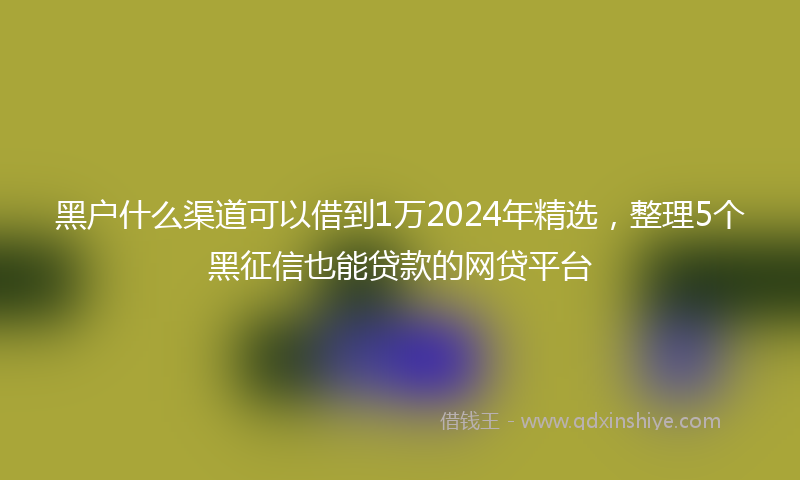 黑户什么渠道可以借到1万2024年精选，整理5个黑征信也能贷款的网贷平台