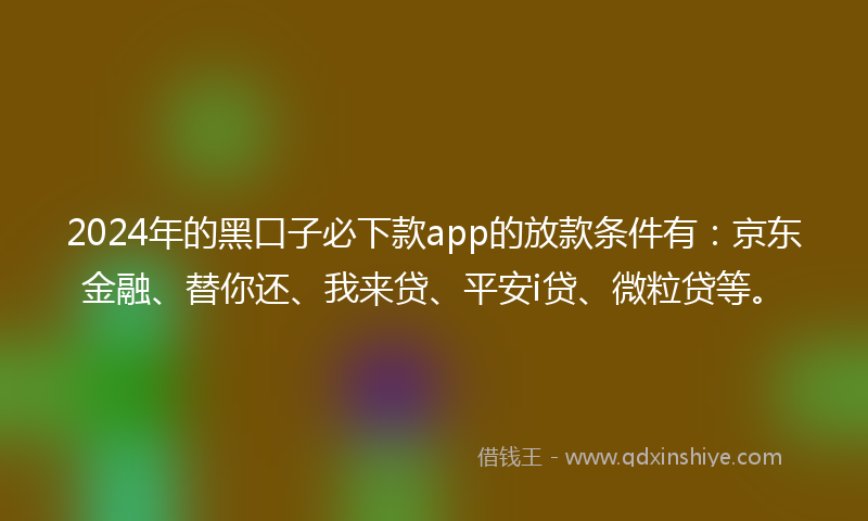 2024年的黑口子必下款app的放款条件有：京东金融、替你还、我来贷、平安i贷、微粒贷等。