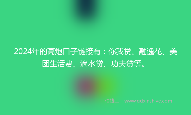 2024年的高炮口子链接有：你我贷、融逸花、美团生活费、滴水贷、功夫贷等。