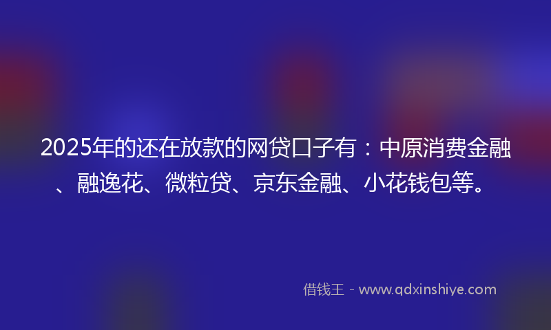 2025年的还在放款的网贷口子有：中原消费金融、融逸花、微粒贷、京东金融、小花钱包等。