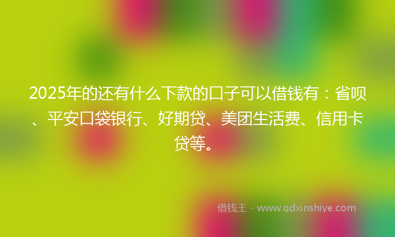 2025年的还有什么下款的口子可以借钱有：省呗、平安口袋银行、好期贷、美团生活费、信用卡贷等。