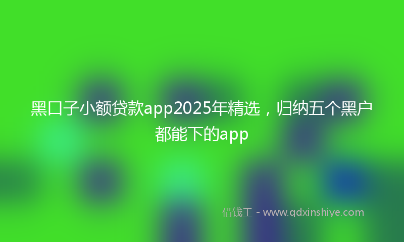 黑口子小额贷款app2025年精选，归纳五个黑户都能下的app