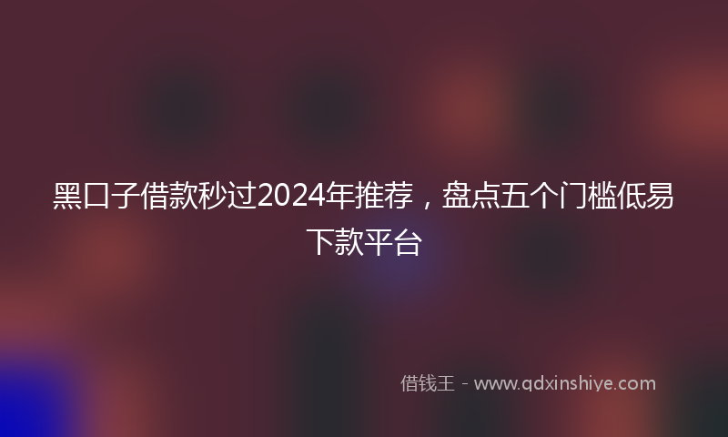 黑口子借款秒过2024年推荐，盘点五个门槛低易下款平台