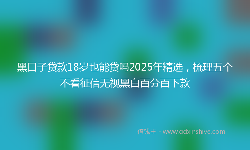 黑口子贷款18岁也能贷吗2025年精选，梳理五个不看征信无视黑白百分百下款