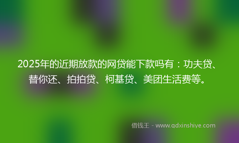 2025年的近期放款的网贷能下款吗有：功夫贷、替你还、拍拍贷、柯基贷、美团生活费等。