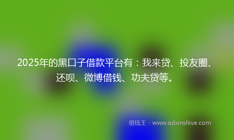 2025年的黑口子借款平台有：我来贷、投友圈、还呗、微博借钱、功夫贷等。