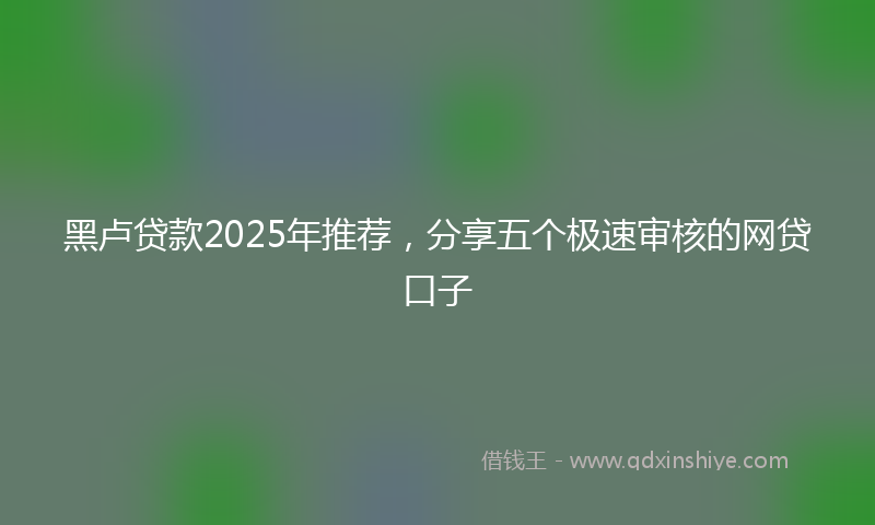黑卢贷款2025年推荐，分享五个极速审核的网贷口子