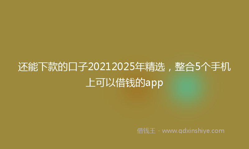 还能下款的口子20212025年精选，整合5个手机上可以借钱的app