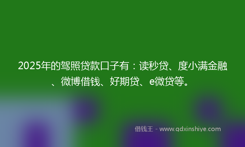 2025年的驾照贷款口子有：读秒贷、度小满金融、微博借钱、好期贷、e微贷等。