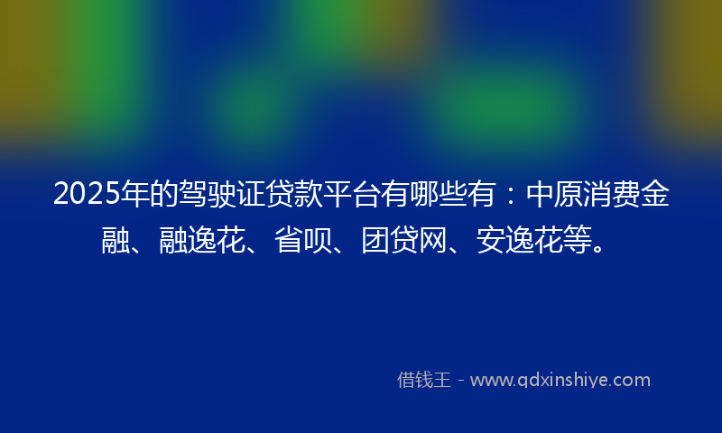 2025年的驾驶证贷款平台有哪些有：中原消费金融、融逸花、省呗、团贷网、安逸花等。