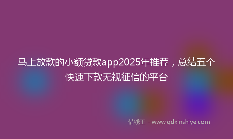 马上放款的小额贷款app2025年推荐，总结五个快速下款无视征信的平台