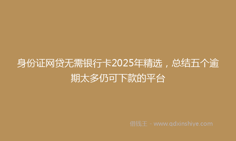 身份证网贷无需银行卡2025年精选，总结五个逾期太多仍可下款的平台