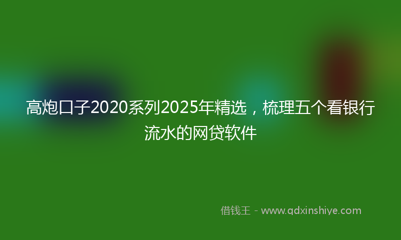 高炮口子2020系列2025年精选，梳理五个看银行流水的网贷软件