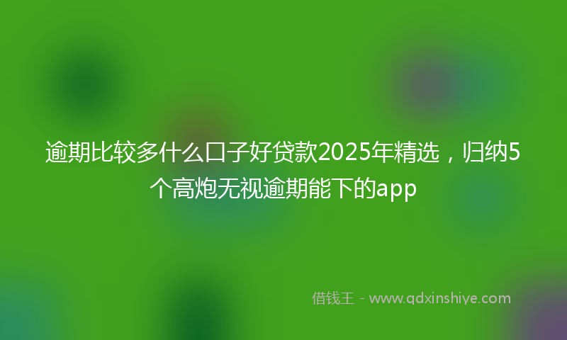 逾期比较多什么口子好贷款2025年精选，归纳5个高炮无视逾期能下的app