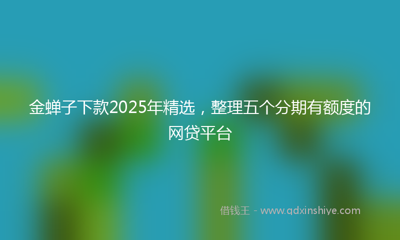 金蝉子下款2025年精选，整理五个分期有额度的网贷平台