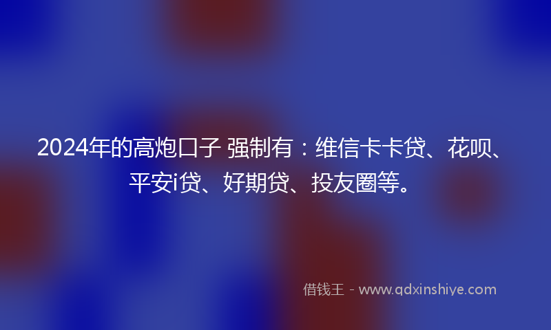 2024年的高炮口子 强制有：维信卡卡贷、花呗、平安i贷、好期贷、投友圈等。